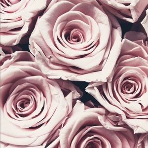 Meet your Posher, Lisseth